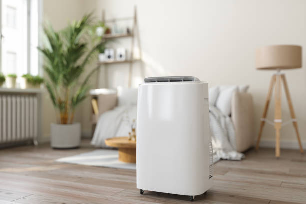 Best HVAC air duct cleaning  in Blooming Prairie, MN